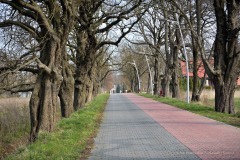 Gorzno-PIA_6234_fot.Fotopia